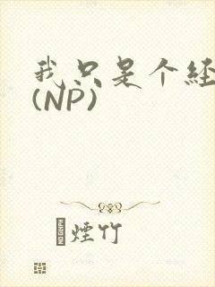 我只是个经纪人(NP)