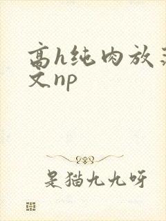 高h纯肉放荡h文np