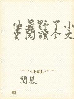 他最野了小说免费阅读全文