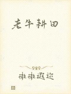 老牛耕田