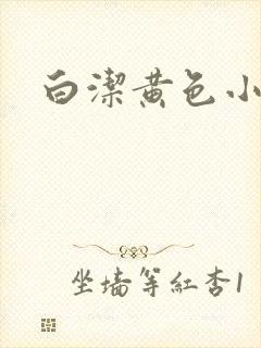 白洁黄色小说