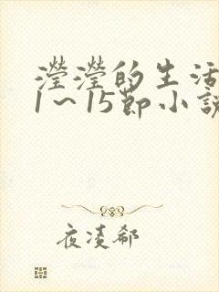 滢滢的生活日记1～15节小说封面
