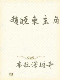 赵晓东主角小说