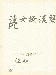 渣女撩汉系统NPC