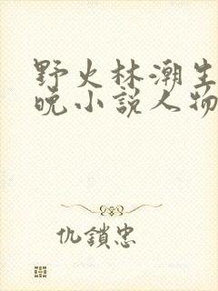 野火林潮生林晚晚小说人物野火