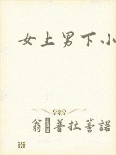女上男下小说