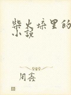 柴火垛里的疯狂小说