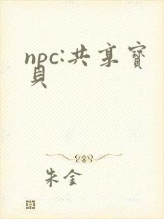 npc:共享宝贝