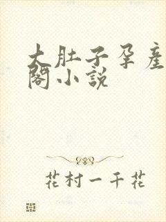 大肚子孕产笔趣阁小说