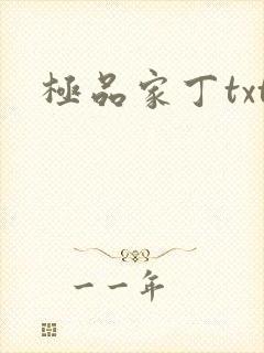 极品家丁txt