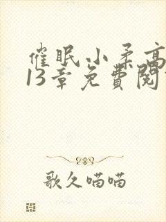 催眠小柔高达第13章免费阅读