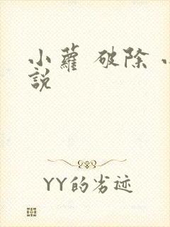 小萝 破除 小说