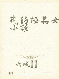 我的极品女老师小说