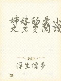 婶娘的爱小说全文免费阅读