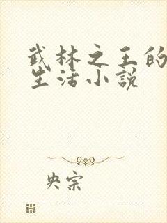 武林之王的退隐生活小说