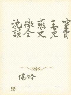 沈微燕王穿越小说全文免费阅读