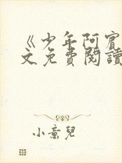 《少年阿宾》全文免费阅读