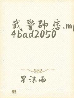 武警帅痞.mp4bad2050