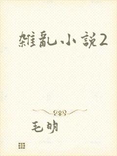 杂乱小说2