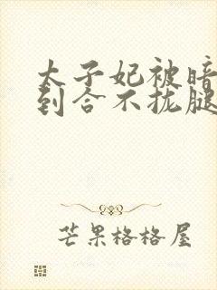 太子妃被暗卫C到合不拢腿