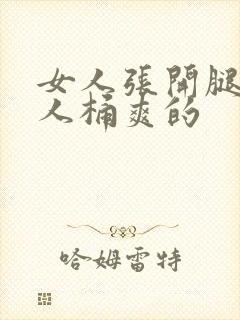 女人张开腿让男人桶爽的