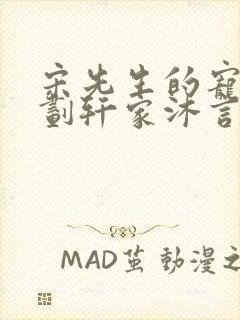 宋先生的宠妻计划轩家沐言