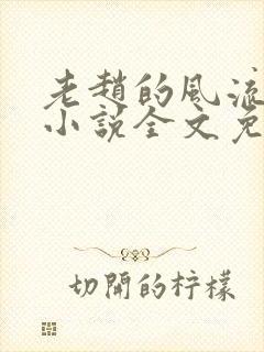 老赵的风流人生小说全文免费阅读