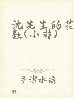 沈先生的花式调数(小非)