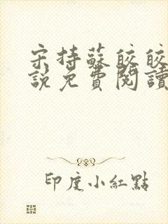 宋持苏皎皎的小说免费阅读