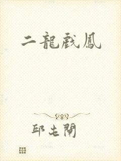二龙戏凤