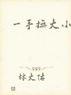 一手抚大小说