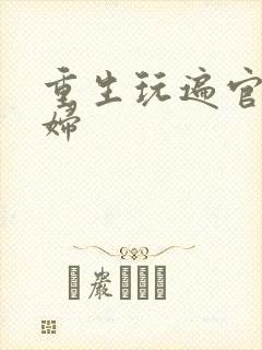 重生玩遍官场贵妇