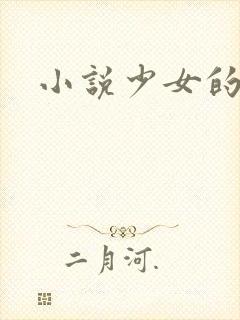 小说少女的心
