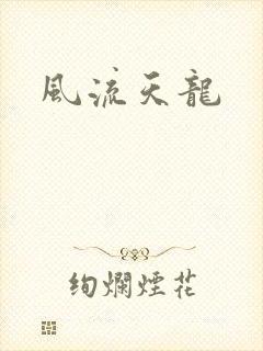 风流天龙