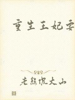 重生王妃要和离