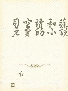 司空靖和苏月汐免费的小说笔趣阁