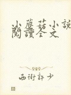 小蘑菇小说免费阅读全文