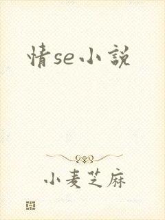 情se小说