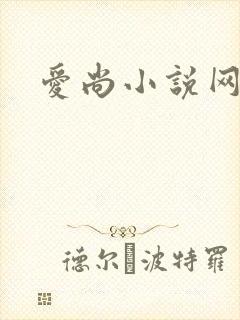 爱尚小说网