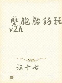 双胞胎的玩具1v2h