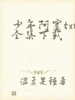 少年阿宾txt全集下载