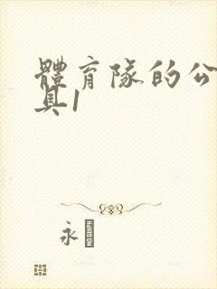 体育队的公用玩具1