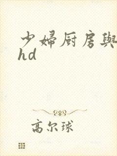 少妇厨房与子伦hd