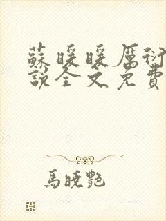 苏暖暖厉衍琛小说全文免费阅读