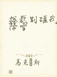 总裁别碰我 韩降雪