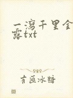 一泻千里金银花露txt