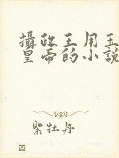摄政王用玉髓整皇帝的小说封面