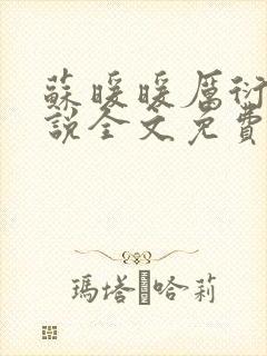 苏暖暖厉衍琛小说全文免费阅读