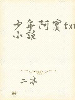 少年阿宾txt小说