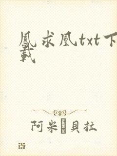 凤求凰txt下载